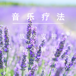 成人网站video视频
